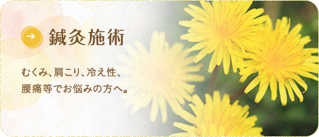 鍼灸治療 むくみ、肩こり、冷え性、腰痛等でお悩みの方へ。